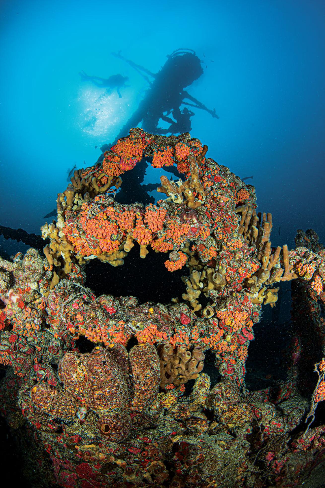 Spiegel Grove Shipwreck