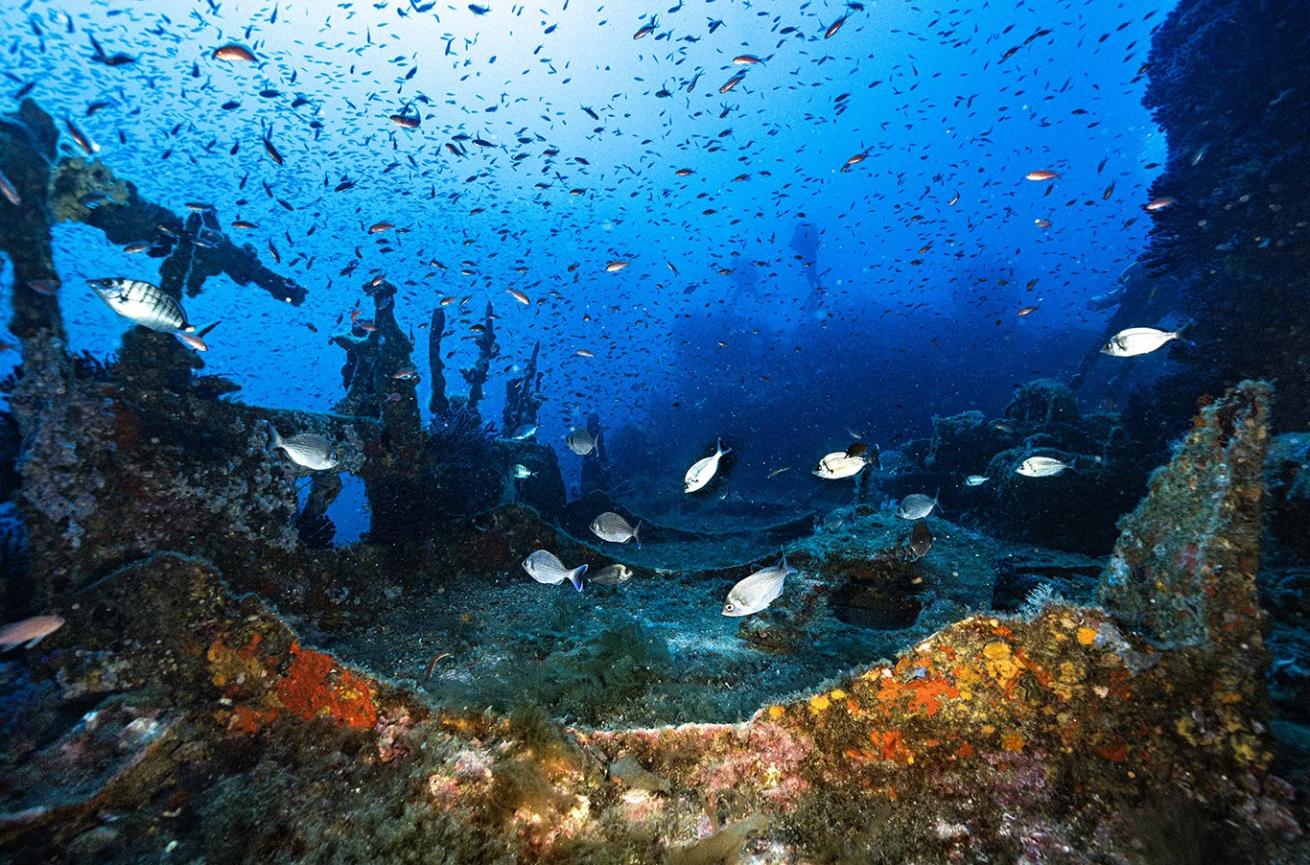 wreck dive in Bormes-les-Mimosas